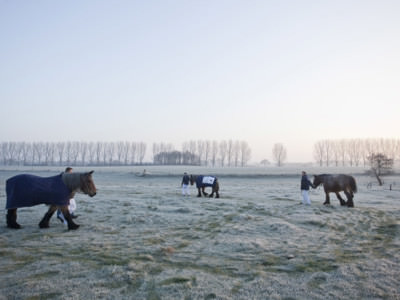 De Metworst, fotografie Otto Snoek